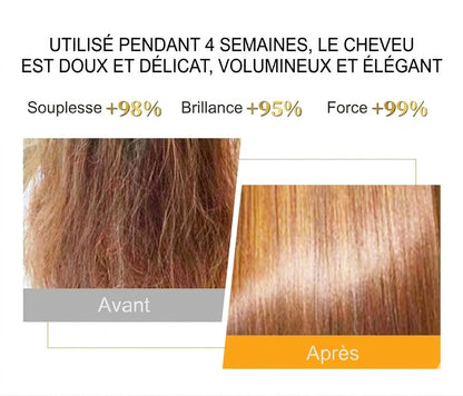 L'Or du Maroc : Cheveux Soyeux" : 72H de Douceur et Éclat